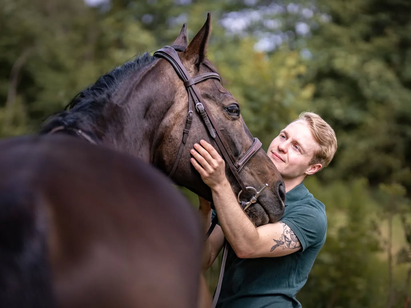 Horse